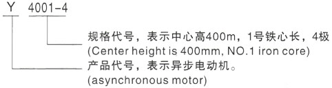 西安泰富西玛Y系列(H355-1000)高压珠山三相异步电机型号说明